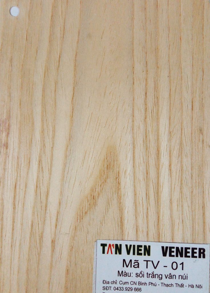 Tản Viên Veneer