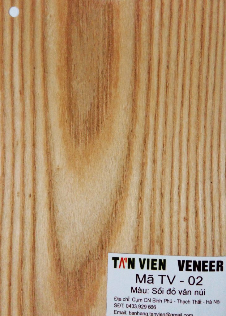 Veneer kỹ thuật