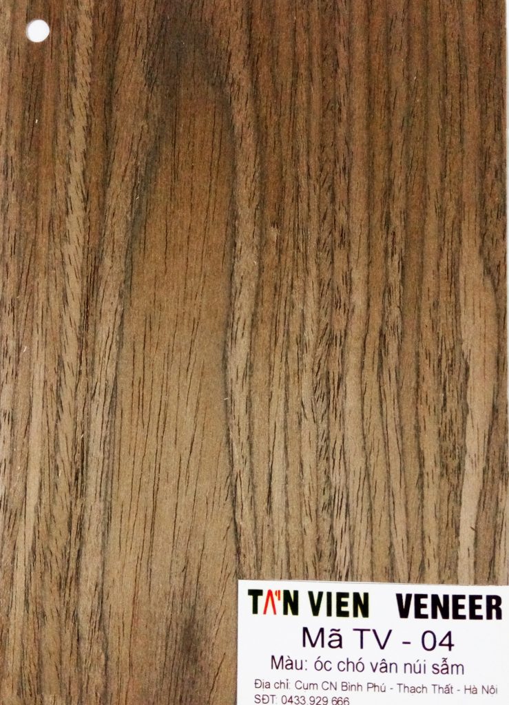 Veneer kỹ thuật