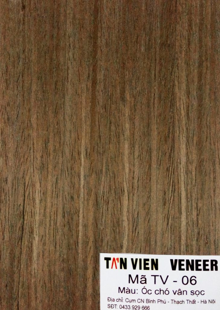 Veneer kỹ thuật