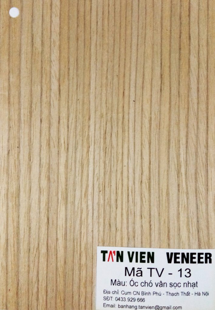 Veneer kỹ thuật