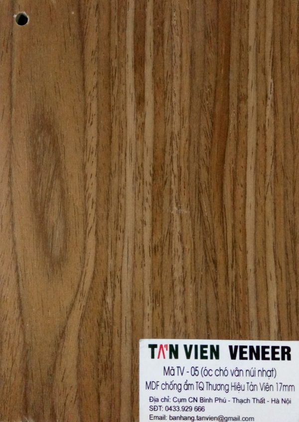 Veneer kỹ thuật TV-05