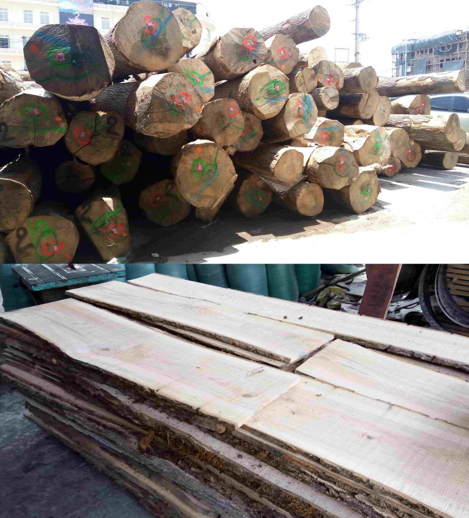 gỗ tần bì nguyên liệu tại hà nội