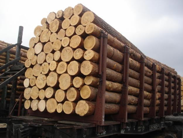 gỗ thông nguyên liệu nhập khẩu tại Hà Nội