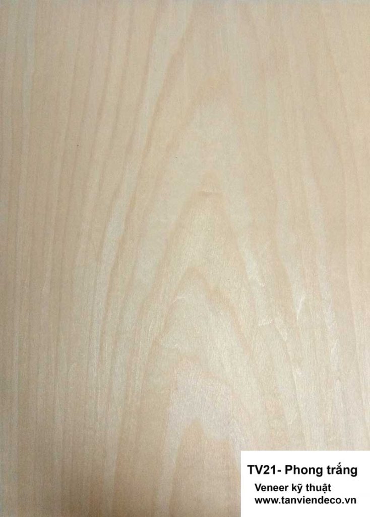Vân gỗ Veneer kỹ thuật Archives - Nội thất Tản Viên