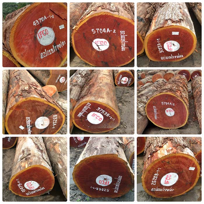 Gỗ xoan đào Sipo tại Hà Nội